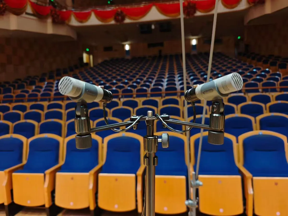D-AB 立体声支架 — 现场实景