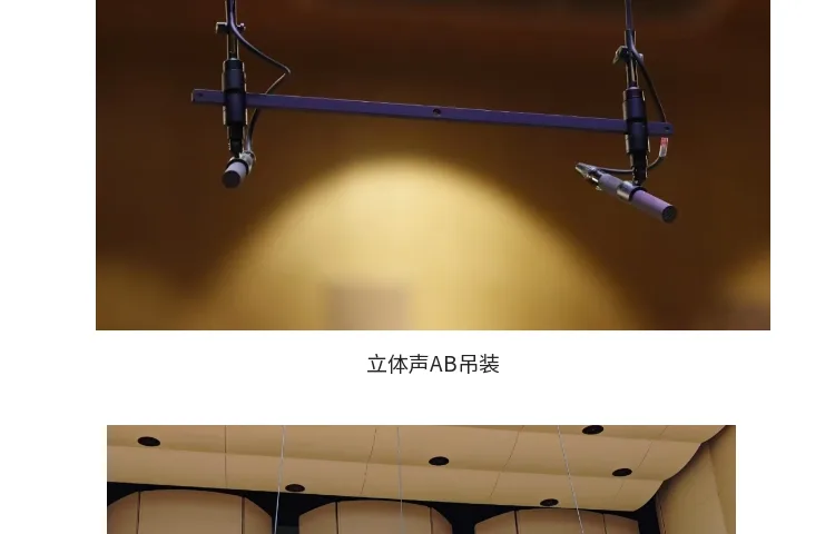 立体声 AB 吊装 — 40cm 横杆 + 2 支话筒